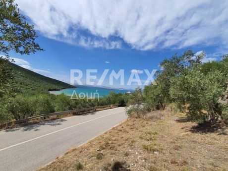 Parcel 9.920sqm for sale-Sourpi » Amaliapoli