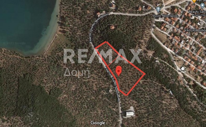 Αγροτεμάχια 9.920 τ.μ. πρός πώληση, Μαγνησία, Σούρπη