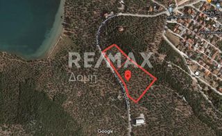 Αγροτεμάχια 9.920 τ.μ. για πώληση