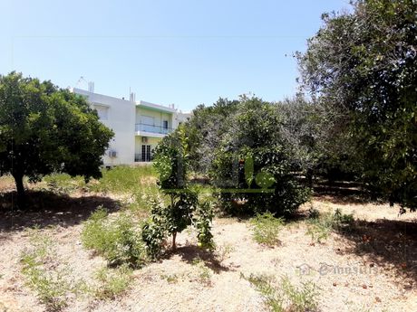 Οικόπεδο 250 τ.μ. για πώληση