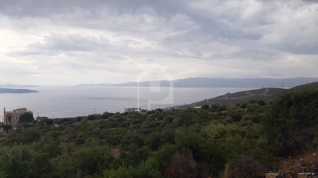 Οικόπεδο 836 τ.μ. για πώληση, Εύβοια, Ταμύνες