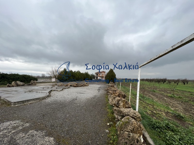 Μεζονέτα 342 τ.μ. πρός πώληση, Μαγνησία, Φερών