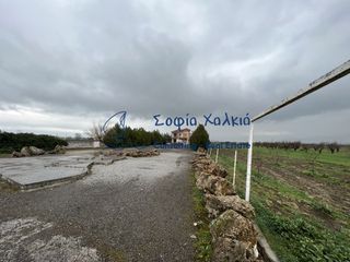 Μεζονέτα 342 τ.μ. για πώληση, Μαγνησία, Φερών-thumb-3