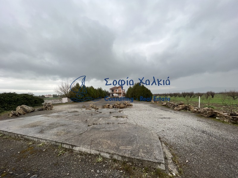 Μεζονέτα 342 τ.μ. πρός πώληση, Μαγνησία, Φερών