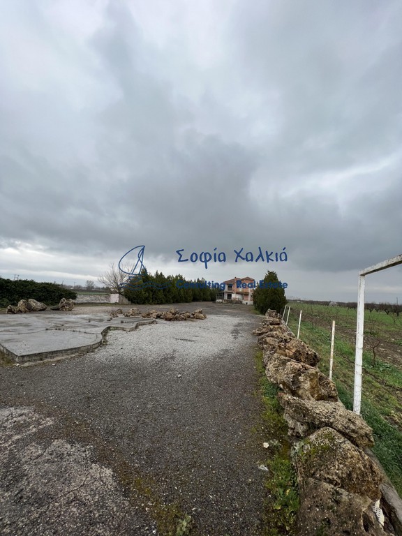 Μεζονέτα 342 τ.μ. πρός πώληση, Μαγνησία, Φερών