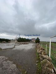 Μεζονέτα 342 τ.μ. για πώληση, Μαγνησία, Φερών-thumb-4