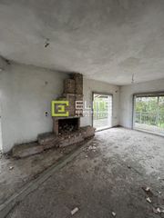 Μεζονέτα 342 τ.μ. για πώληση, Μαγνησία, Φερών-thumb-22
