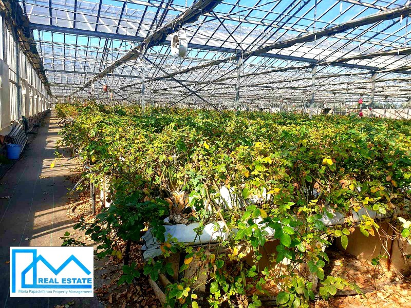 Επιχείρηση 11.200 τ.μ. πρός πώληση, Θεσσαλονίκη - Περιφ/Κοί Δήμοι, Θέρμη