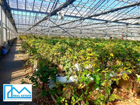 Business 11.200sqm for sale-Thermi » Nea Raidestos