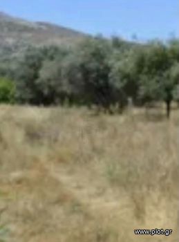 Land plot 17.500sqm for sale-Legrena