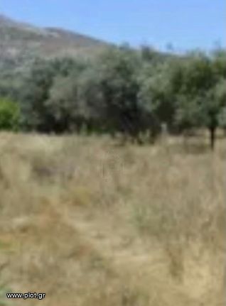 Land plot 17.500 sqm for sale, Rest Of Attica, Legrena
