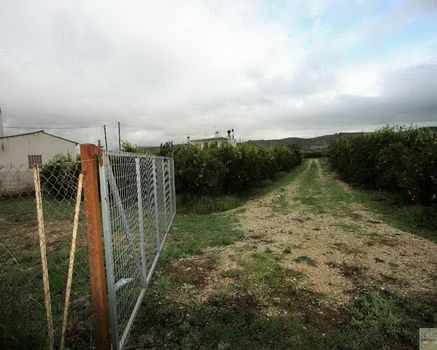 Land plot 1.000 sqm for sale
