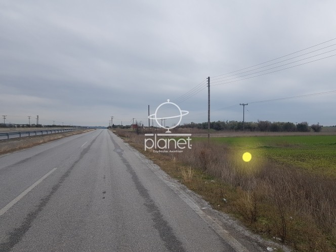 Αγροτεμάχια 16.500 τ.μ. προς πώληση, Λάκκωμα Καλλικράτειας