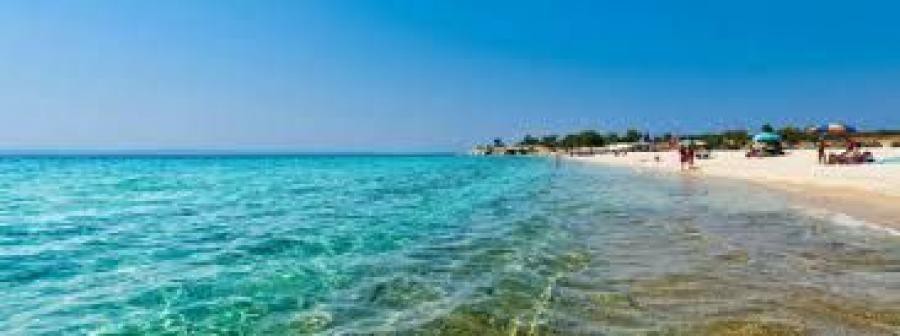 Αγροτεμάχια 9.100 τ.μ. προς πώληση, Παραλία Νικήτης