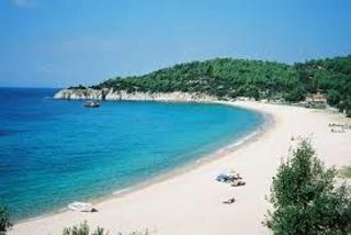 Αγροτεμάχια 9.100 τ.μ. για πώληση