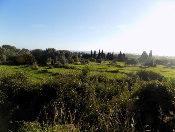 Αγροτεμάχια 9.004 τ.μ. για πώληση, Ν. Κεφαλονιάς, Κεφαλονιά