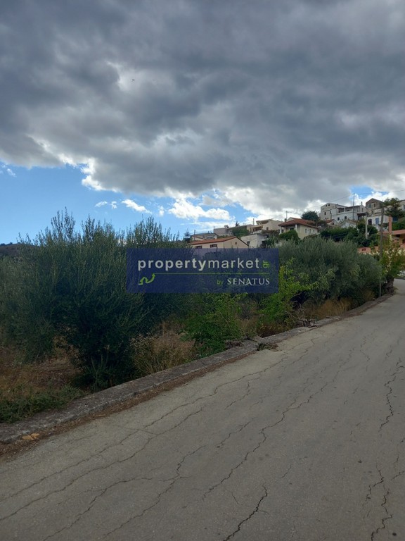 Οικόπεδο 2.400 τ.μ. προς πώληση, Βρύσες Κρυονερίδας