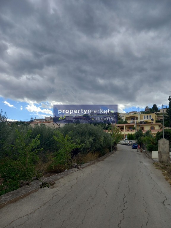 Οικόπεδο 2.400 τ.μ. προς πώληση, Βρύσες Κρυονερίδας