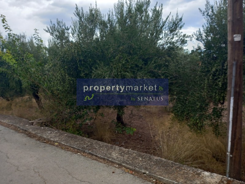 Οικόπεδο 2.400 τ.μ. προς πώληση, Βρύσες Κρυονερίδας