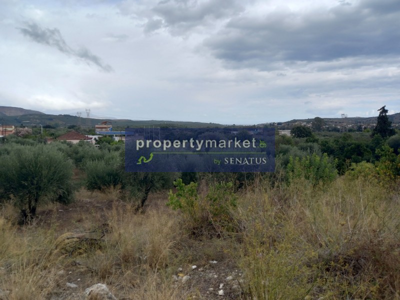 Οικόπεδο 2.400 τ.μ. προς πώληση, Βρύσες Κρυονερίδας