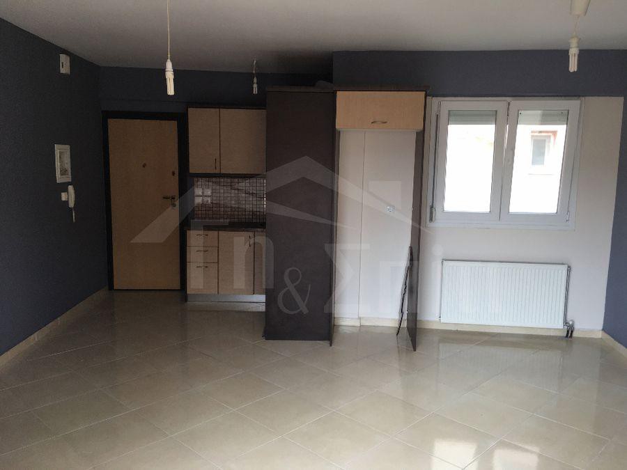 Studio / γκαρσονιέρα 38 τ.μ. πρός ενοικίαση, Ν. Ιωαννίνων, Ιωάννινα