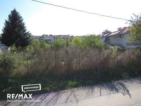 Οικόπεδο 880τ.μ. για πώληση-Πασσαρώνα » Ελεούσα