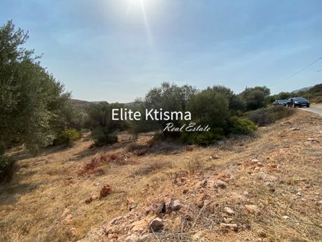 Οικόπεδο 2.932τ.μ. για πώληση-Κερατέα » Κέντρο