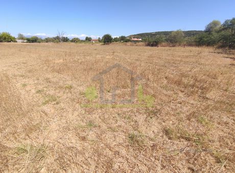 Land plot 4.000sqm for sale-Larissos » Lakkopetra