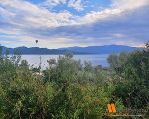 Οικόπεδο 1.000 τ.μ. για πώληση