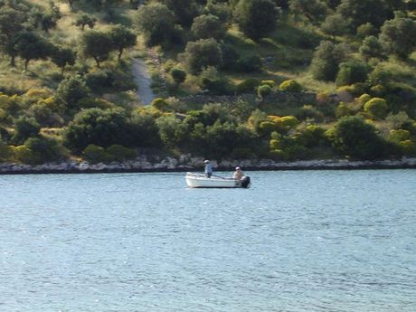 Οικόπεδο 2.000τ.μ. για πώληση-Δύστος » Μπούφαλο