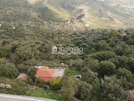 Detached home 60sqm for sale-Kefalonia » Eleioi-Pronoi