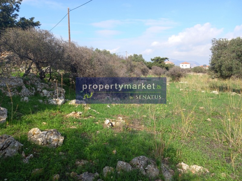 Οικόπεδο 4.504 τ.μ. προς πώληση, Κόκκινο Χωριό