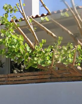 Μονοκατοικία 400τ.μ. για πώληση-Καλύβια θορικού » Λαγονήσι