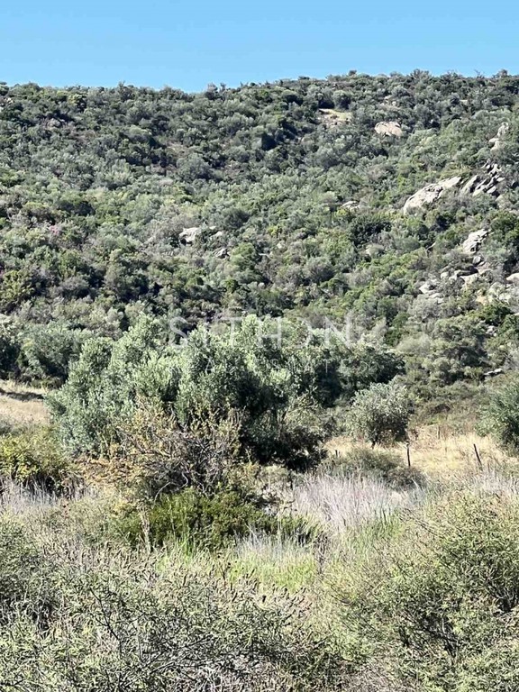 Αγροτεμάχια 1.033 τ.μ. προς πώληση, Κέντρο Τορώνης