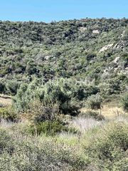Αγροτεμάχια 1.033 τ.μ. για πώληση