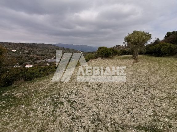 Parcel 8.878 sqm for sale, Chios Prefecture, Chios