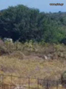 Οικόπεδο 12.000τ.μ. για πώληση-Παλαιά φώκαια