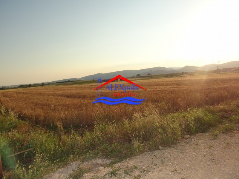 Αγροτεμάχια 5.600 τ.μ. πρός πώληση, Εβρος, Αλεξανδρούπολη