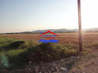 Αγροτεμάχια 5.600 τ.μ. για ενοικίαση, Εβρος, Αλεξανδρούπολη-thumb-16