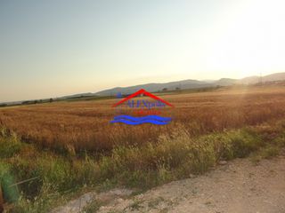 Αγροτεμάχια 5.600 τ.μ. για ενοικίαση, Εβρος, Αλεξανδρούπολη-thumb-6