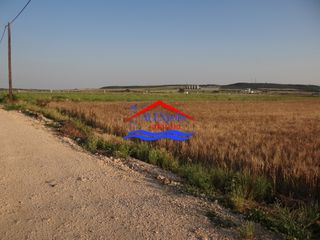Αγροτεμάχια 5.600 τ.μ. για ενοικίαση, Εβρος, Αλεξανδρούπολη-thumb-14