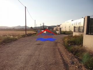 Αγροτεμάχια 5.600 τ.μ. για ενοικίαση, Εβρος, Αλεξανδρούπολη-thumb-10