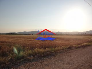 Αγροτεμάχια 5.600 τ.μ. για ενοικίαση, Εβρος, Αλεξανδρούπολη-thumb-8