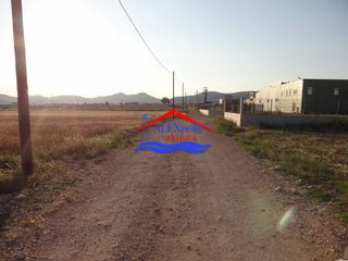Αγροτεμάχια 5.600 τ.μ. για ενοικίαση, Εβρος, Αλεξανδρούπολη-thumb-15