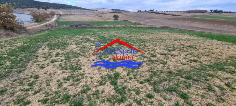 Αγροτεμάχια 5.600 τ.μ. πρός ενοικίαση, Εβρος, Αλεξανδρούπολη