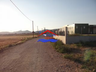 Αγροτεμάχια 5.600 τ.μ. για ενοικίαση, Εβρος, Αλεξανδρούπολη-thumb-7