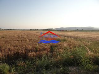 Αγροτεμάχια 5.600 τ.μ. για ενοικίαση, Εβρος, Αλεξανδρούπολη-thumb-17