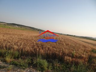 Αγροτεμάχια 5.600 τ.μ. για ενοικίαση, Εβρος, Αλεξανδρούπολη-thumb-13