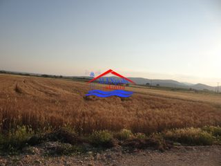 Αγροτεμάχια 5.600 τ.μ. για ενοικίαση, Εβρος, Αλεξανδρούπολη-thumb-9