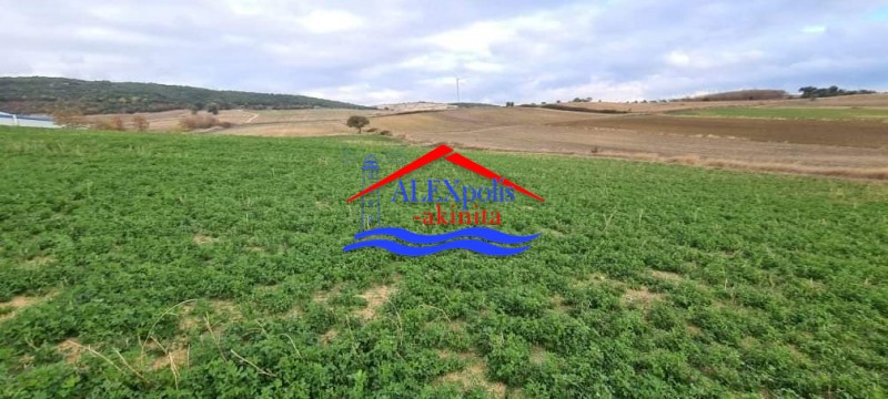 Αγροτεμάχια 10.350 τ.μ. πρός πώληση, Εβρος, Αλεξανδρούπολη